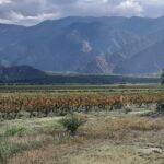 El origen del nombre de Cafayate y sus diferentes acepciones