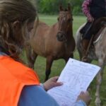 El SENASA realizará un taller informativo sobre anemia infecciosa equina en el Balneario Municipal