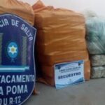 La Policía secuestró más de 70 kilos de hojas de coca en La Poma